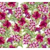 floral background - Ozadje - 