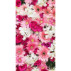 floral - Background - 