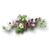 floral cluster - Plantas - 