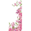 floral edge - Rastline - 