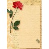 floral paper2 - Background - 