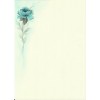 floral paper - Background - 