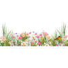 flores - Растения - 