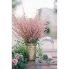 flower background - Minhas fotos - 