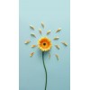 flower - Sfondo - 