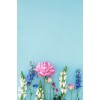 flower - Background - 