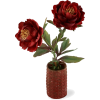 flower - Rośliny - 