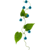 Flower Blue Plants - Plantas - 