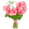 Flower Plants Pink - Растения - 