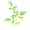 Flower Plants Green - Rastline - 