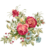 Flower Plants Colorful - Rośliny - 
