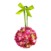 Flower Pink Plants - Plantas - 