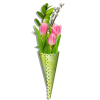 Flower Pink Plants - Растения - 