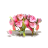 Flower Pink Plants - Rastline - 