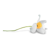 Flower White Plants - Plants - 