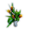 Flower Tulips - Rastline - 