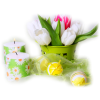 Flower Tulips - Rośliny - 