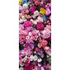 flower - Illustrations - 