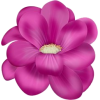 flower - Resto - 
