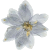 flower - Ostalo - 