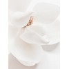 flower - Biljke - 