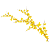 flower - Biljke - 
