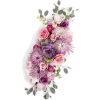 flower - Plants - 