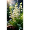 flower - Rastline - 