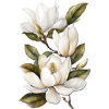 flower - Plantas - 