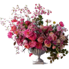 flower - Plants - 