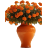 flower - Plantas - 