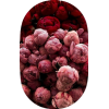 flower - Pflanzen - 