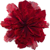 flower - Plantas - 