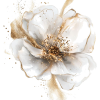 flower - 植物 - 