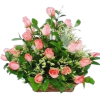 flower basket - Plants - 