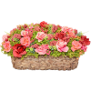 flower basket - Plantas - 