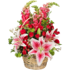flower basket - Rastline - 