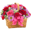 flower basket - 植物 - 