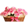 flower basket - Rastline - 