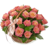 flower basket - Biljke - 