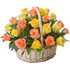 flower basket - Plants - 