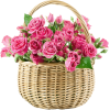 flower basket - Растения - 