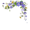 flower border - Rośliny - 