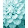 flower in turquoise - Plantas - 