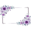 flower purple - Frames - 