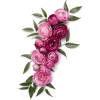 flowers - Plants - 