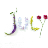 flowers - Illustrazioni - 