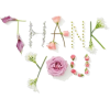flowers - Illustrazioni - 