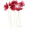 flowers - 插图 - 
