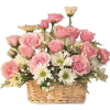Flower Pink Plants - Biljke - 